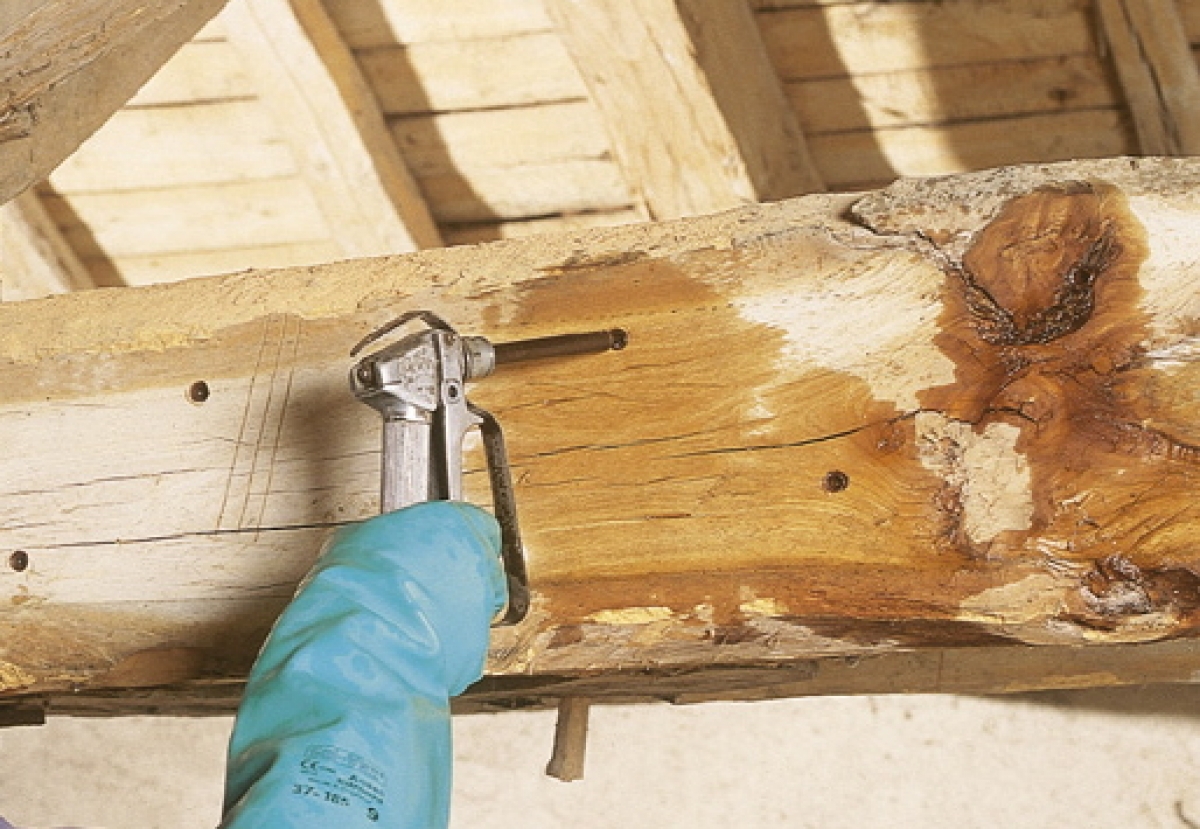 Traitement d'une charpente dans le 37